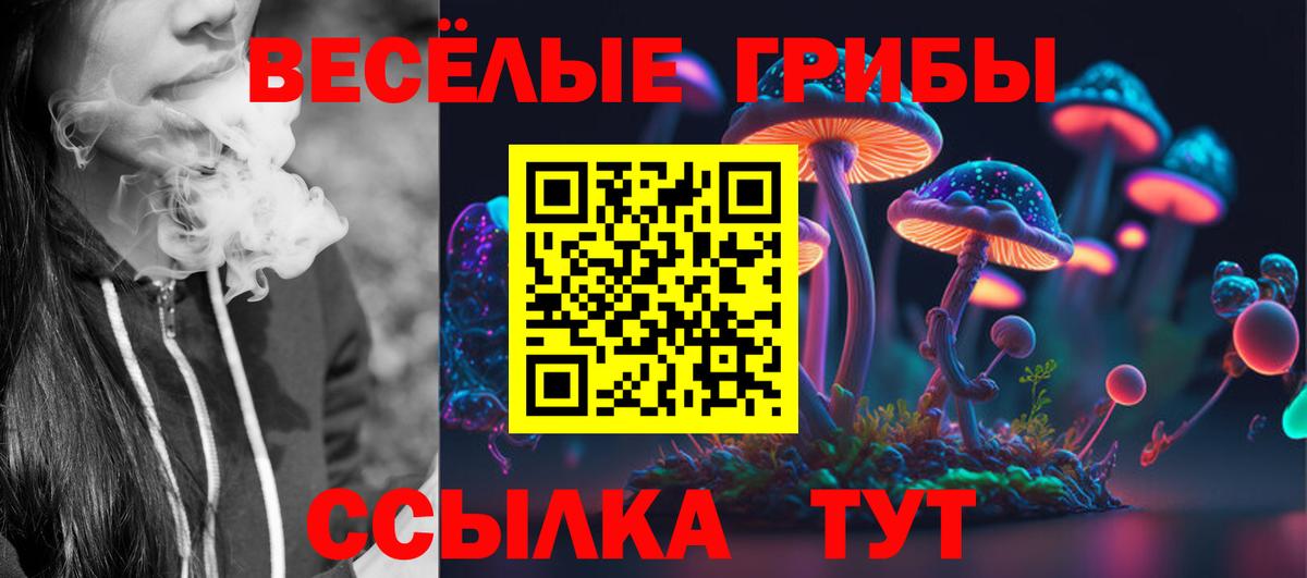 Вольск  Галлюциногенные грибы ЛСД  Псилоцибиновые грибы Psilocybine cubensis  Вход с VPN 